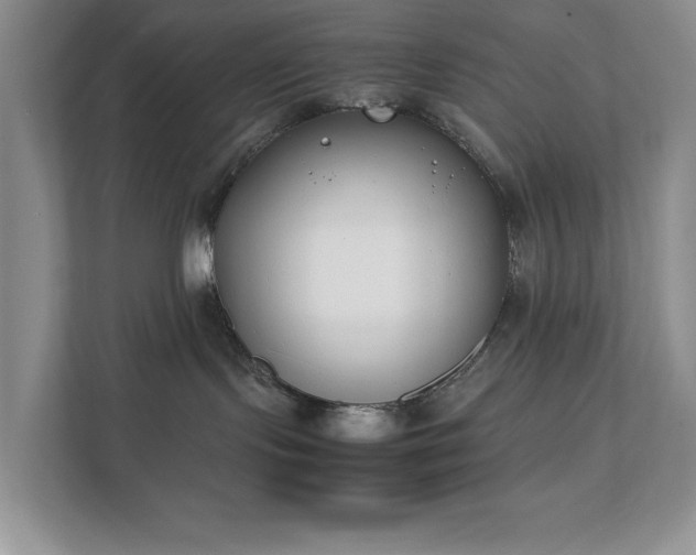 X0000111490095200907211018