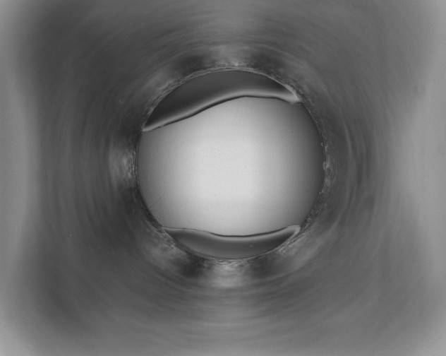 X0000111490096200907211019