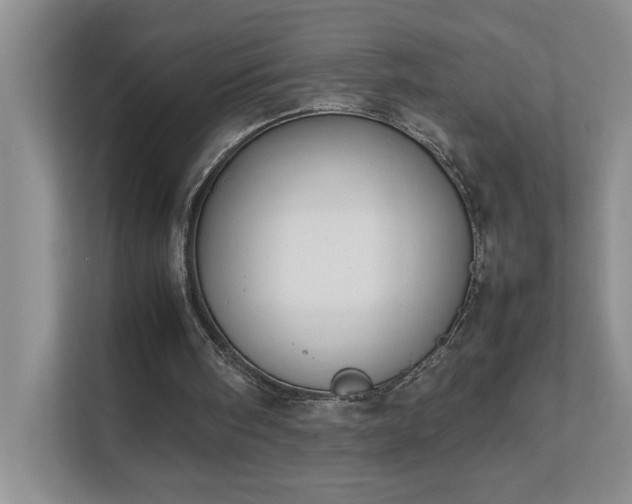 X0000111490098200907211018