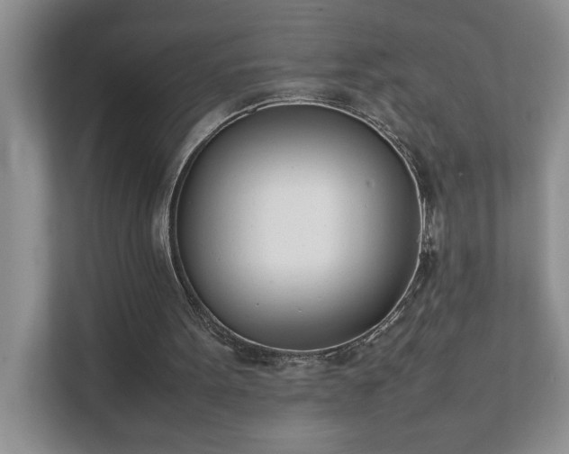 X0000111490099200907211018