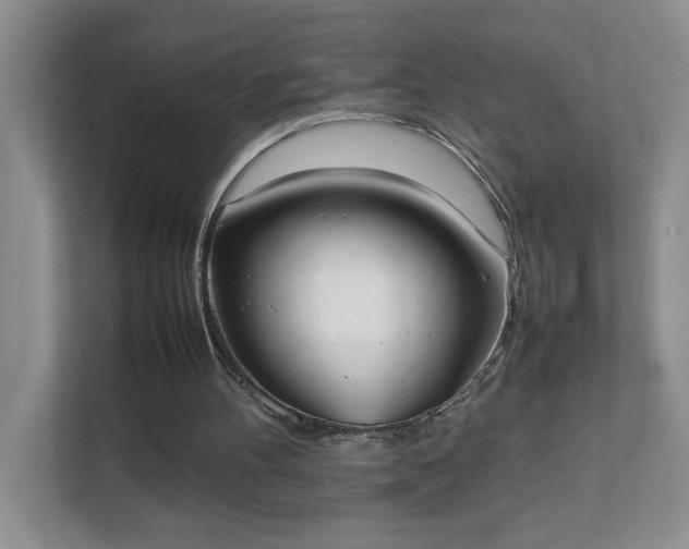 X0000111490100200907211018