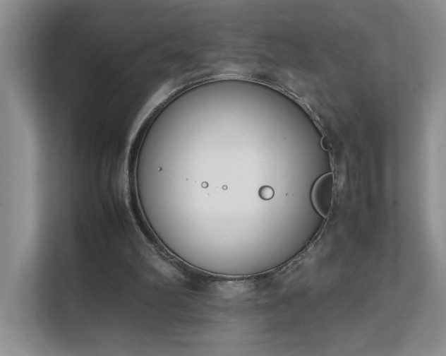 X0000111490102200907211018