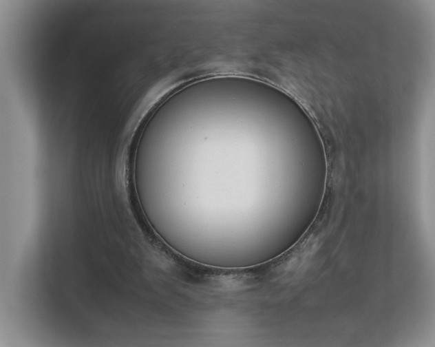 X0000111490103200907211018