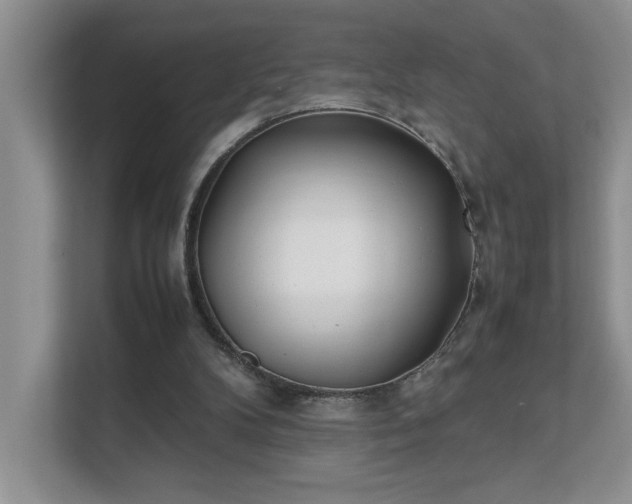 X0000111490104200907211018