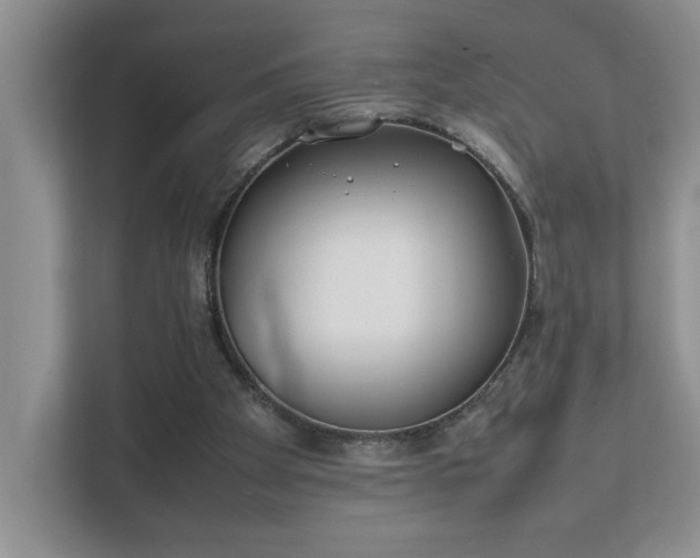 X0000111490105200907211018