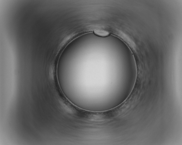 X0000111490107200907211018