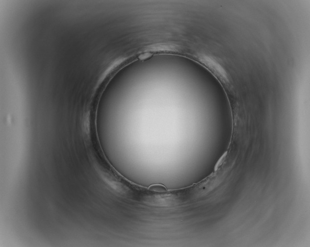 X0000111490108200907211018