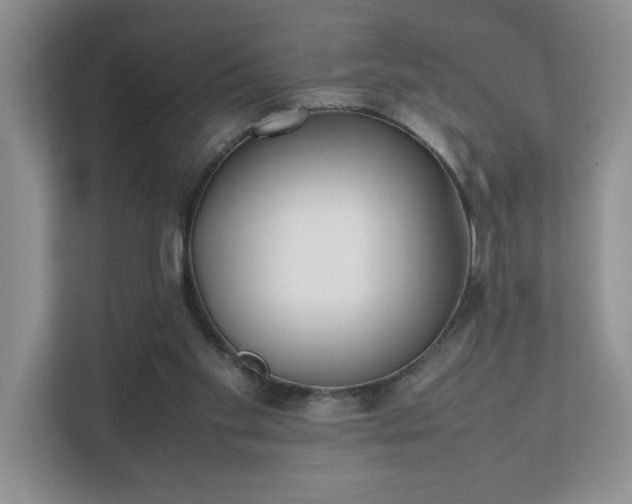 X0000111490109200907211018