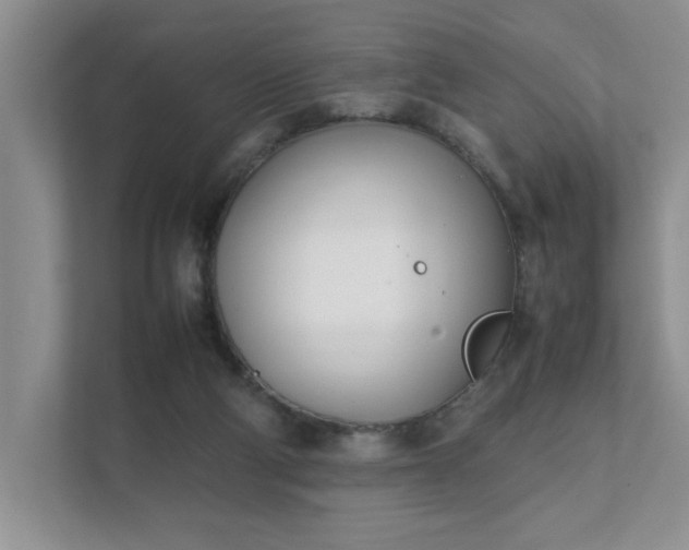 X0000111490114200907211017