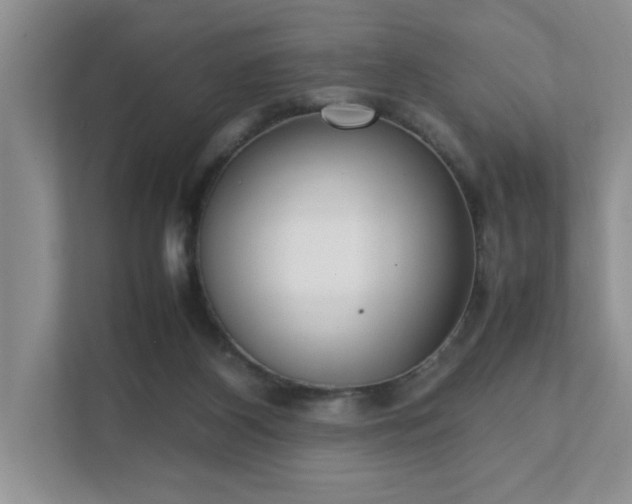 X0000111490116200907211017