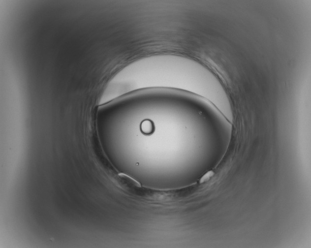 X0000111490117200907211017