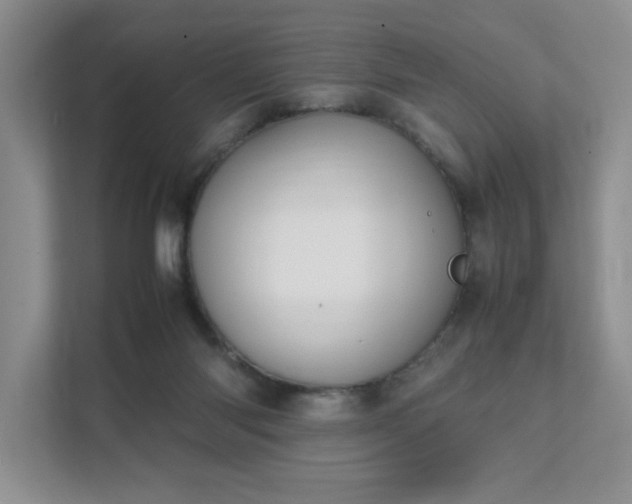 X0000111490118200907211017