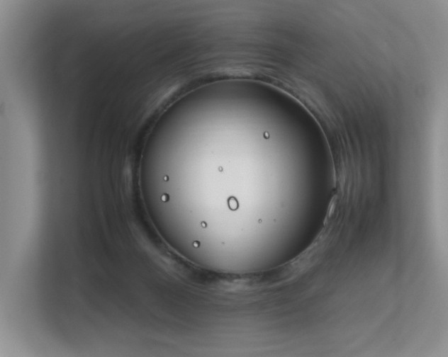 X0000111490120200907211017