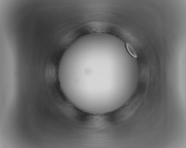 X0000111490121200907211017