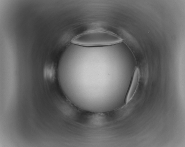 X0000111490124200907211017