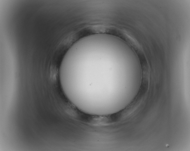 X0000111490125200907211017