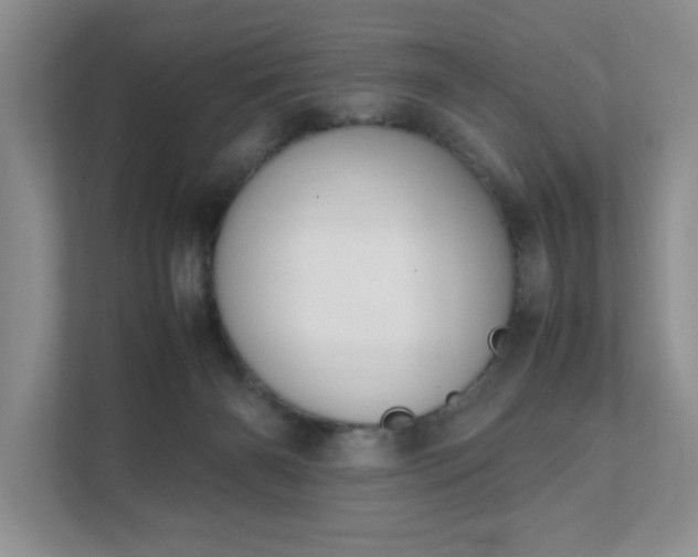 X0000111490126200907211017