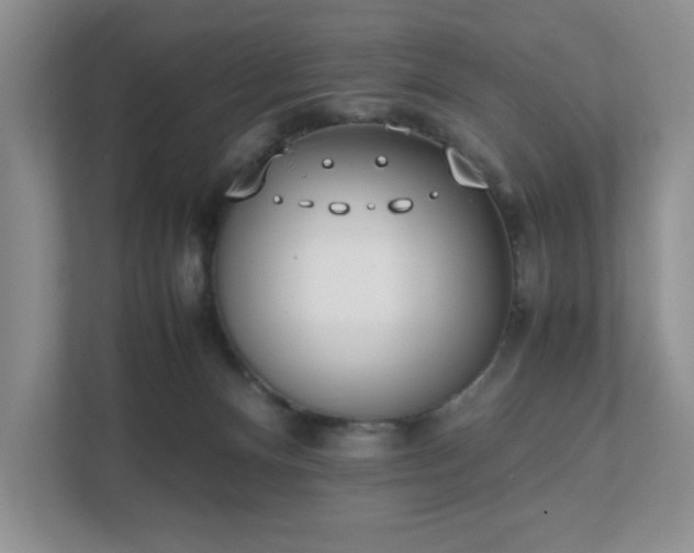 X0000111490128200907211017