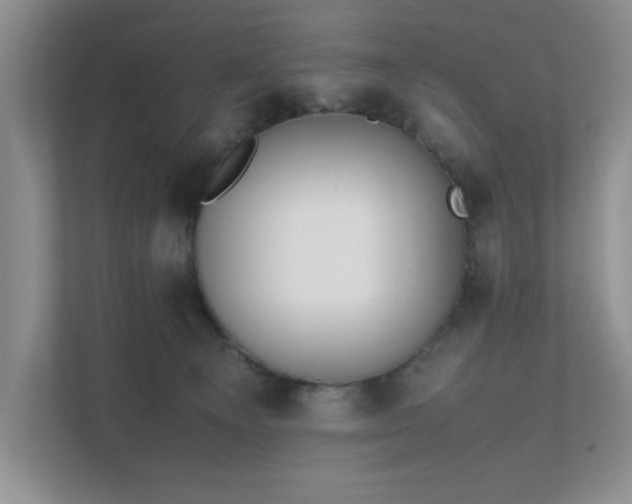 X0000111490129200907211017