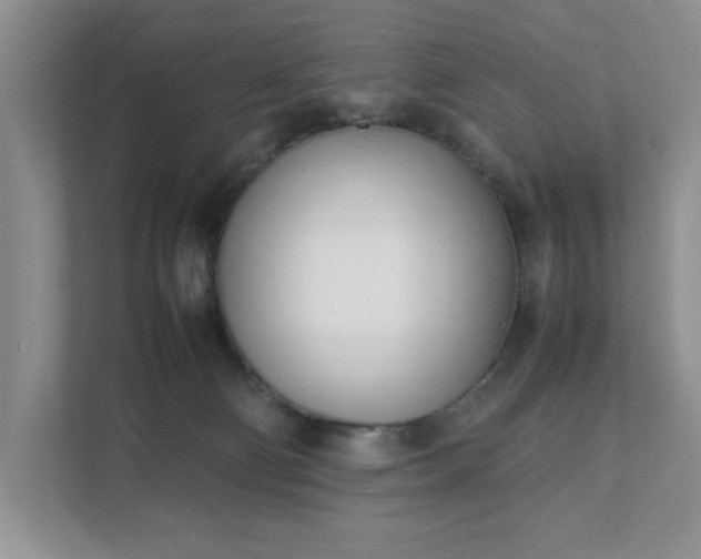 X0000111490130200907211017