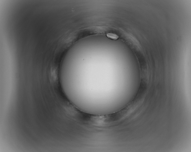 X0000111490131200907211017