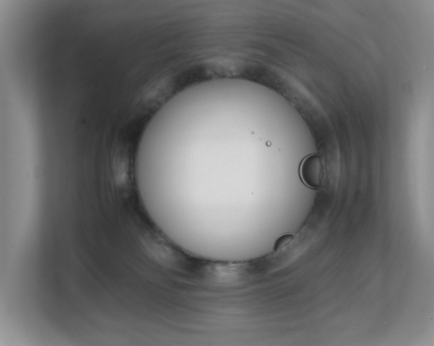 X0000111490134200907211017