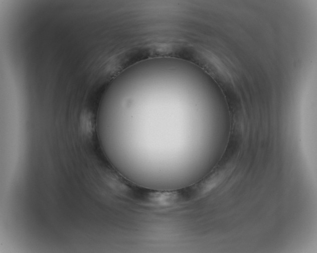 X0000111490135200907211017