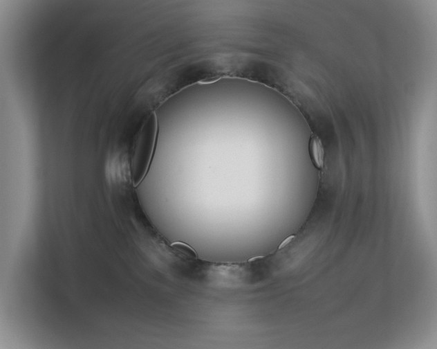 X0000111490137200907211017