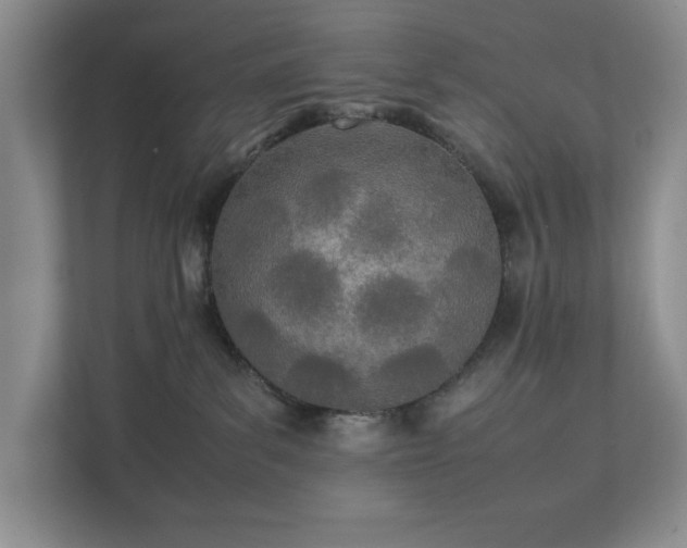 X0000111490139200907211017