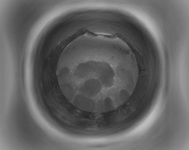 X0000111490143200907211017