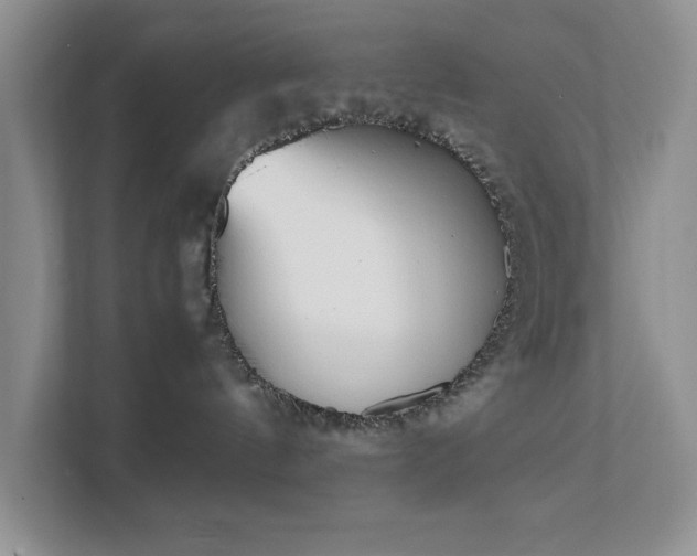 X0000111490144200907211017