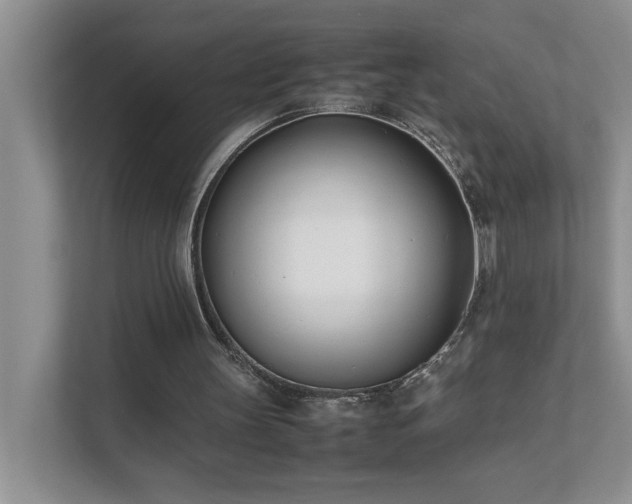 X0000111490147200907211016