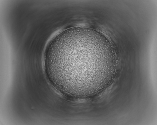 X0000111490149200907211017