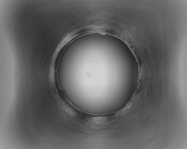 X0000111490150200907211017