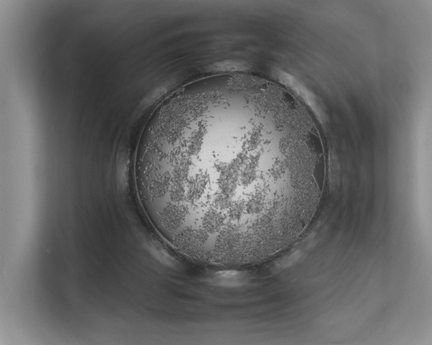 X0000111490153200907211017