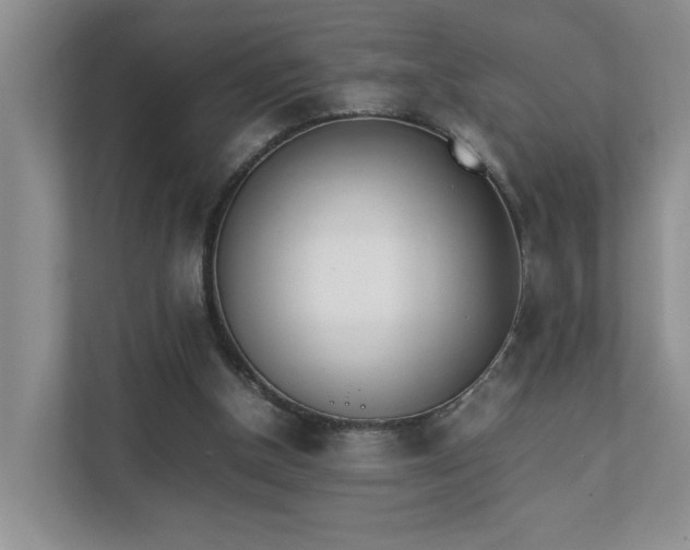 X0000111490154200907211017