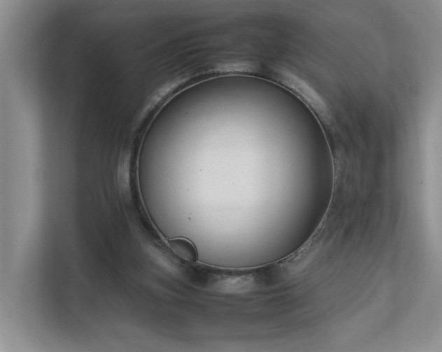 X0000111490155200907211017