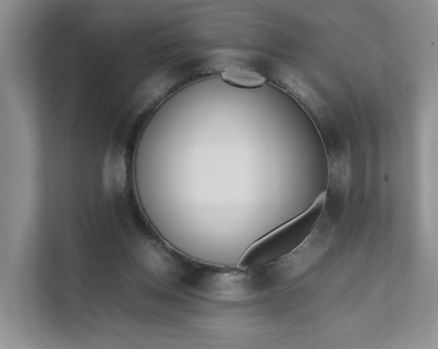 X0000111490158200907211017