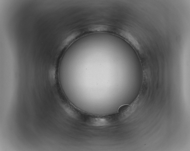 X0000111490159200907211017