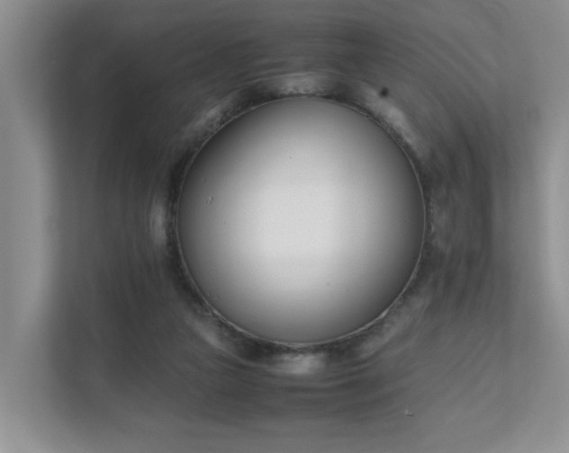 X0000111490161200907211017