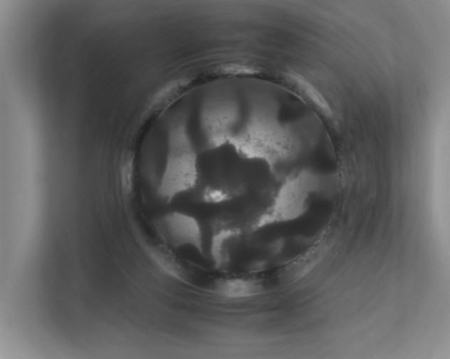 X0000111490163200907211017