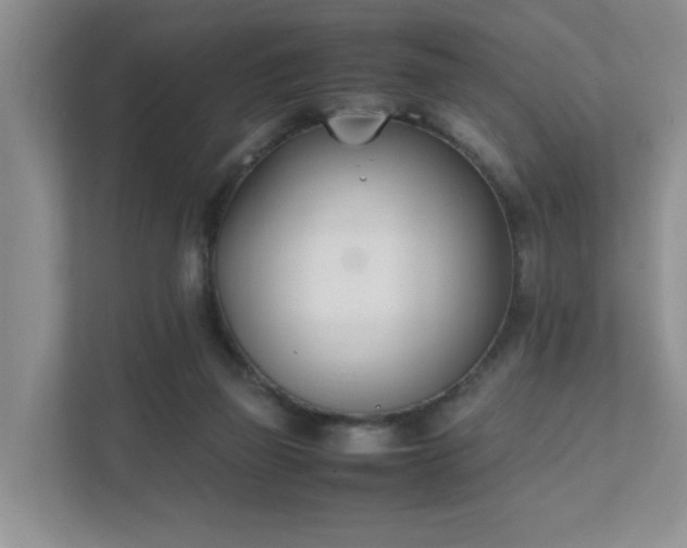 X0000111490165200907211017