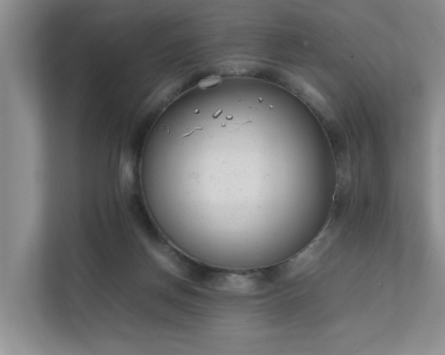 X0000111490166200907211017