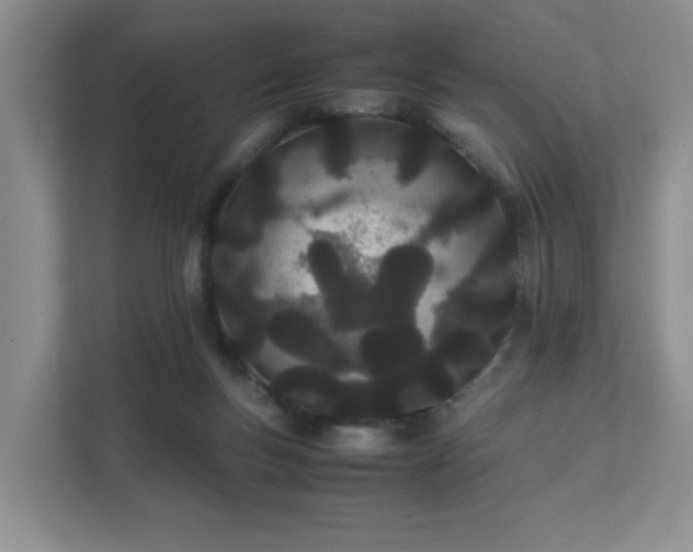 X0000111490167200907211017