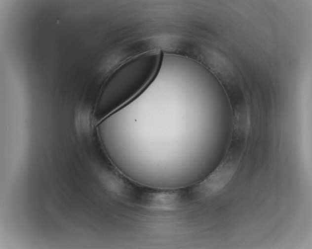 X0000111490168200907211017