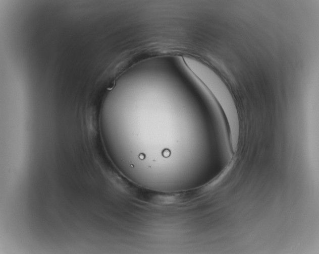 X0000111490170200907211017