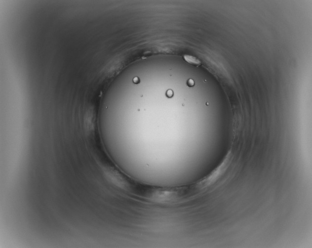 X0000111490174200907211017