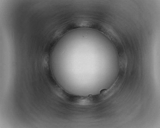 X0000111490175200907211017