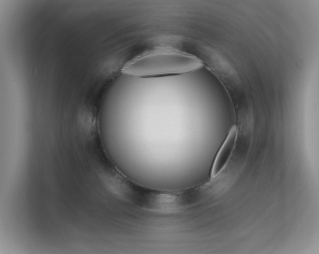 X0000111490176200907211017