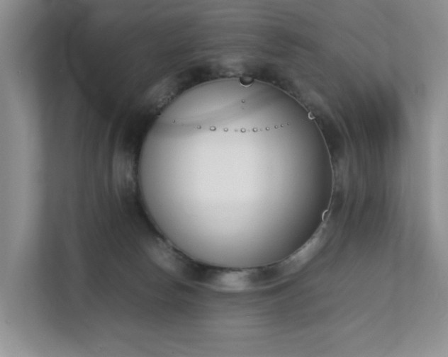 X0000111490178200907211017